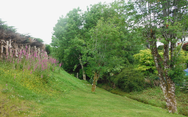  part of the lower garden 