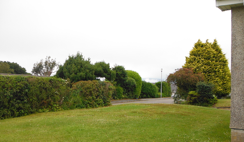  the front garden 